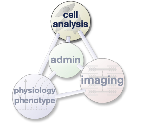 cell-analysis core